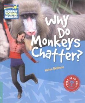Imagem de WHY DO MONKEYS CHATTER? - LEVEL 5