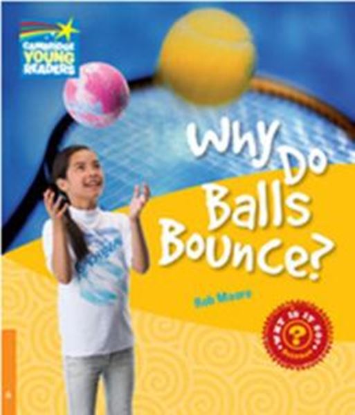 Picture of WHY DO BALLS BOUNCE? - LEVEL 6